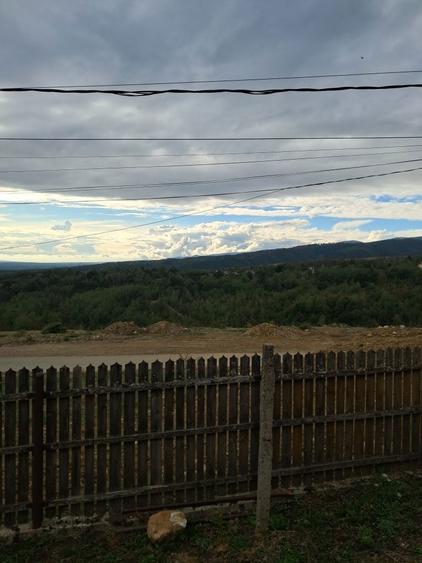 Teren intravilan de vanzare - 3