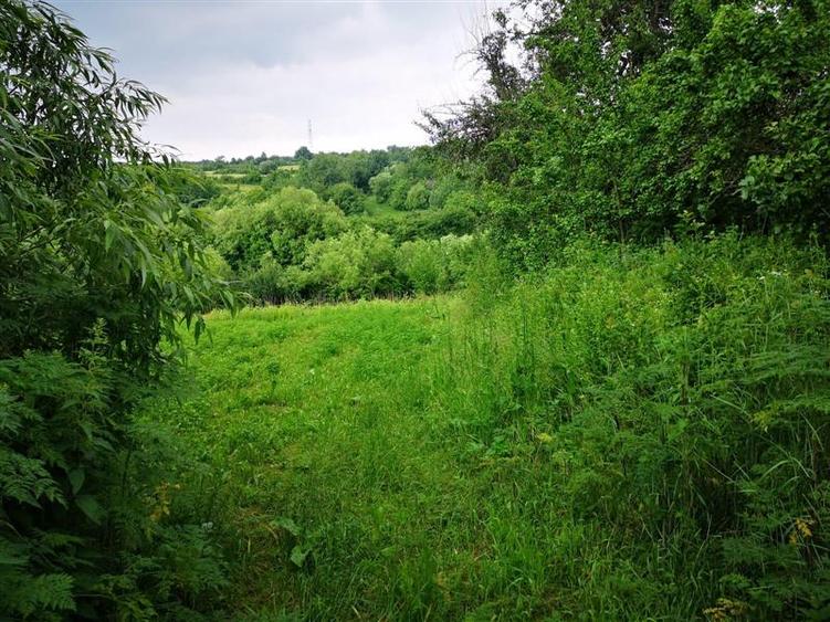 Teren intravilan - 2980mp - de vanzare in Carbunari, Grajduri - 3