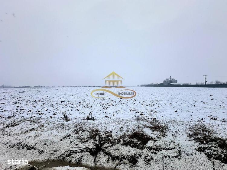 Teren de vanzare Schineni Saucesti - 4