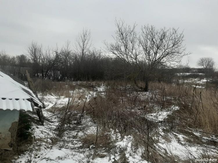 vand casa batraneasca - 5