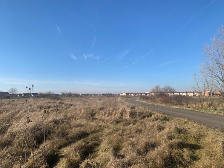 Teren pentru duplex in Sacalaz - 600 mp, in Spatele Cartierului Primaverii - 4