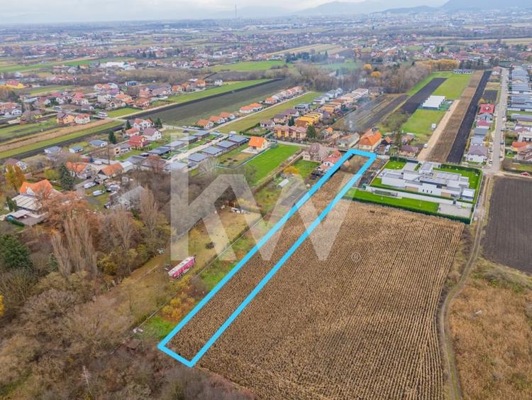 Teren intravilan de vanzare Cartier-Stupini,str. Nicovalei, Brasov, 2978mp! - 8