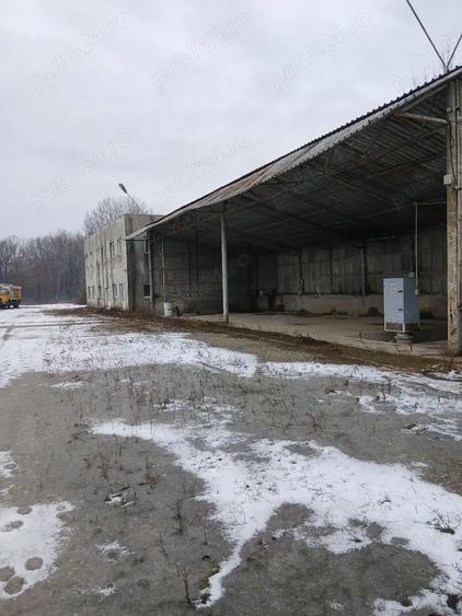 Cladire teren hala de inchiriat - 1