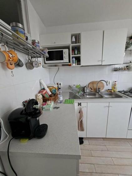 Ion Mihalache-Averescu-Arcul de Triumf,apartament 2camere de inchiriat - 16