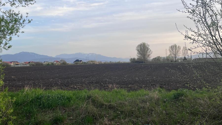 Teren 50000mp Extravilan-Intrare Halchiu-Cod 4486 - 2