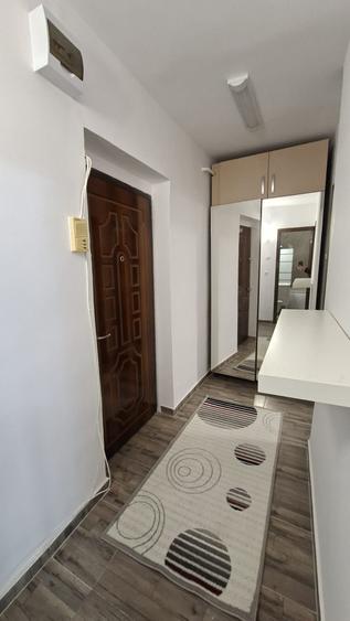 Apartament cu o camera, renovat, Podu Ros - 4
