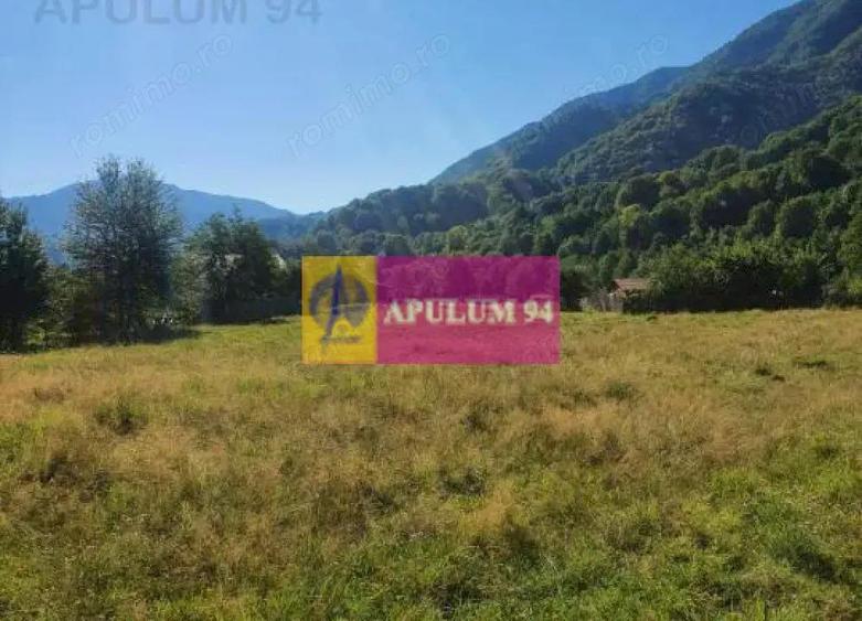 Teren Jude?ul Valcea - Brezoi, Valea lui Stan - 19