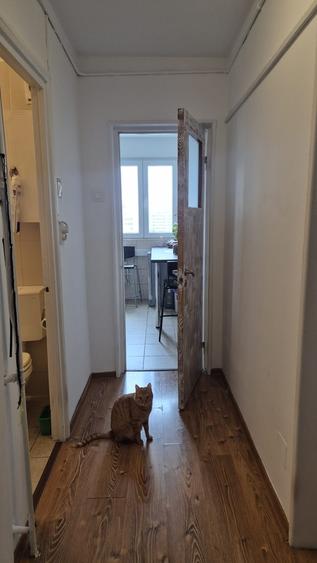 Sector 3 Apartament 2 camere str Capitan Nicolae Licaret, 1 - 9