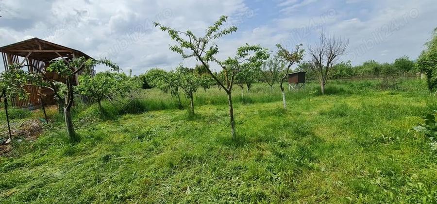 Vand sau Schimb cu apartament -Casa Com. Gurahon? sat Bontesti -3000mp - 2