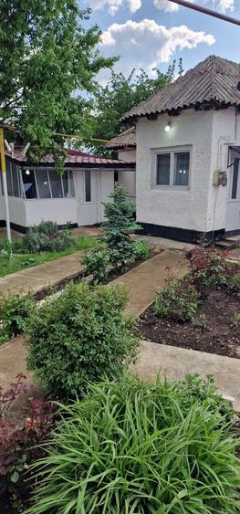 Casa de vanzare valea prahovei - 1