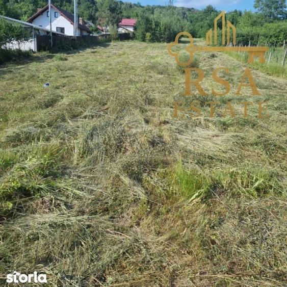 Teren intravilan 2652 mp Golesti Vatasesti, Valcea, zona linistita - 5