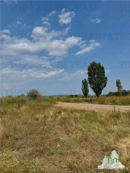 Teren industrial 8000 mp DN1B Zona showroom-uri auto Deschidere 35 m - 6