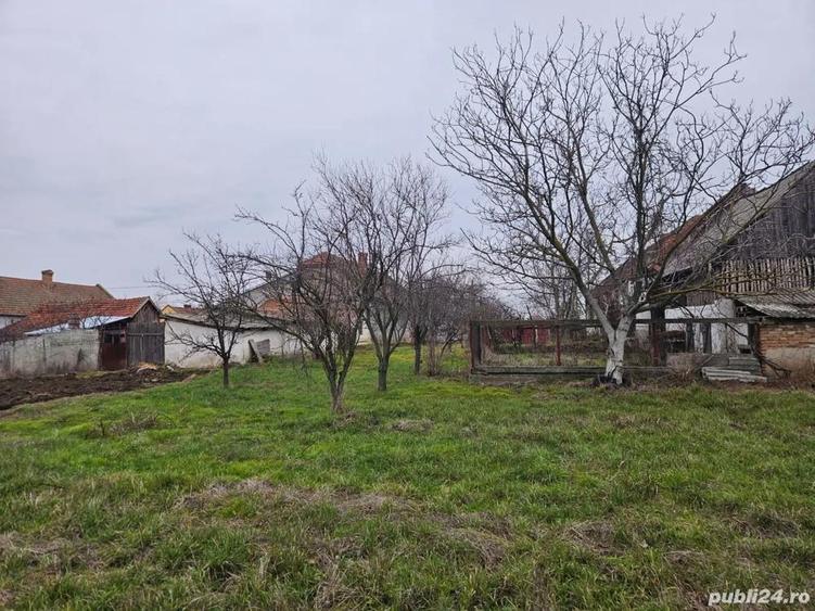 vand casa vinga mailat - 1