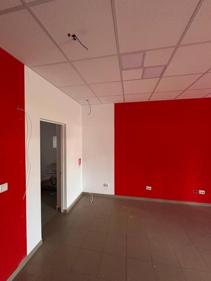 Vand Spatiu comercial + garsoniera - 6