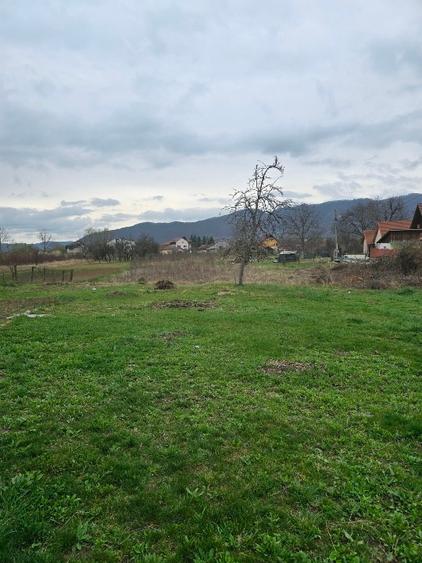 Teren si casa batraneasca Calimanesti - 3