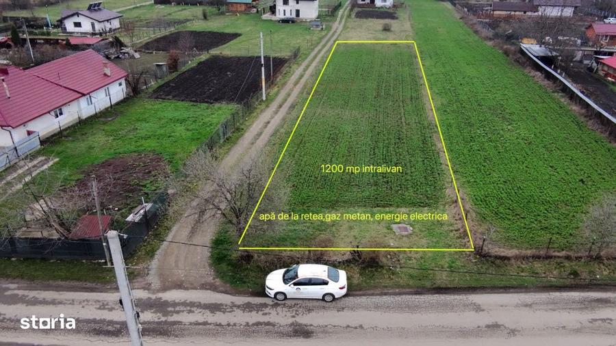 Teren 1200 mp Vadurele - comuna Alexandru cel Bun , cu utilitati - 3