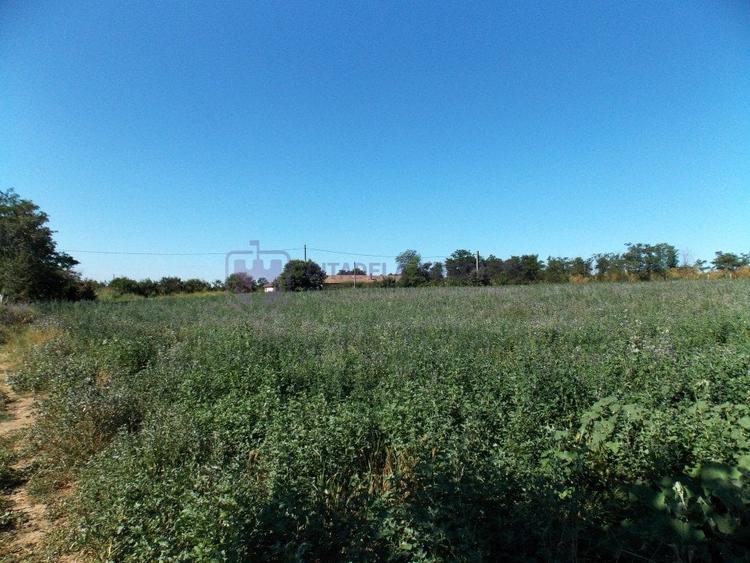 TUZLA - Teren intravilan 1000 mp, langa lacul Techirghiol! - 7