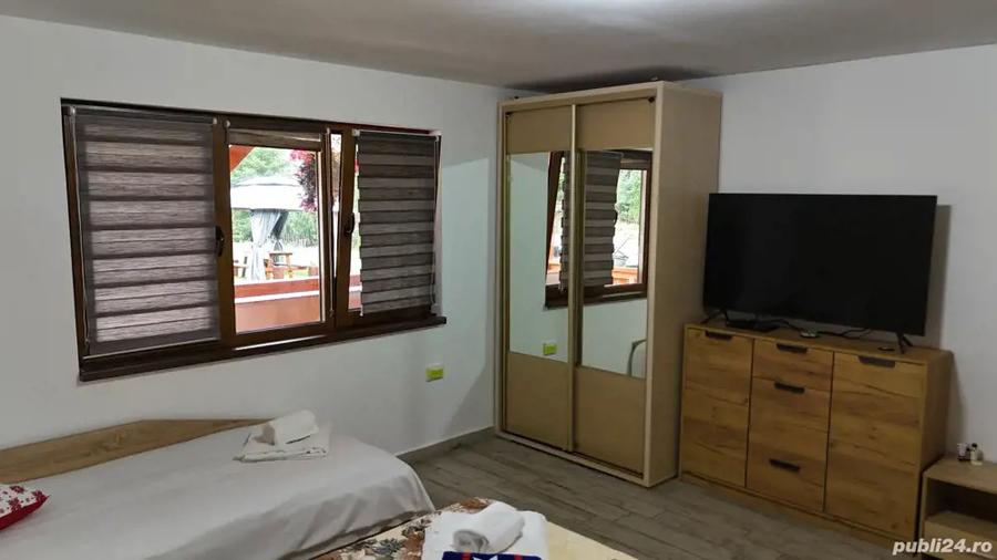 Cabana si Teren de Vanzare la Rimetea - 9