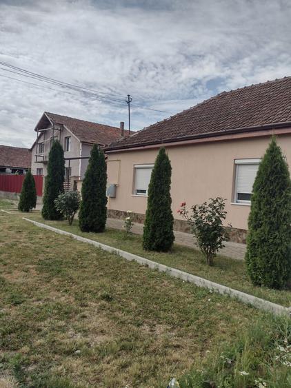 Vand Casa in Curtici - 3