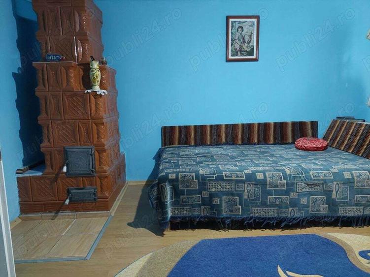 Vand casa mare cu livada, vie, gradina in Fratostita - 3