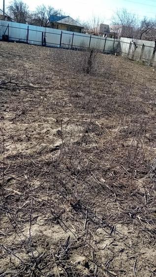 Teren intravilan de inchiriat - 1