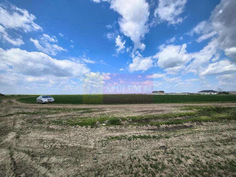 Teren Construcții intravilan de 12450 mp, în Poșta