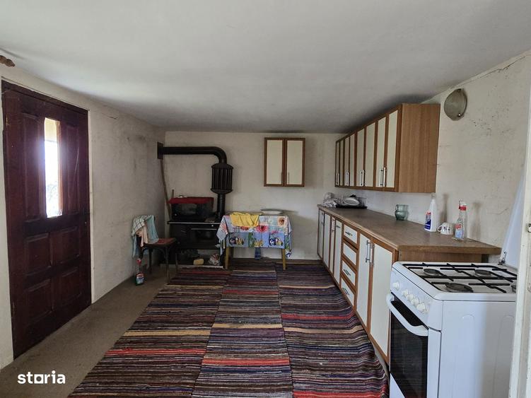 Casa + teren 4467 mp, Hotarele, Giurgiu - 17