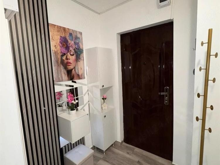 Garsonieră semidecomandată, mobilată în Brazda lui Novac