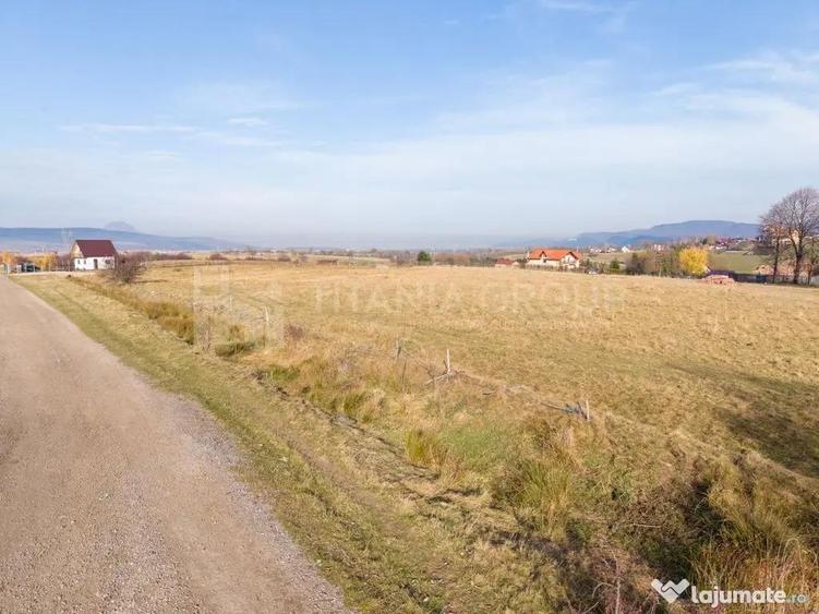 Teren de 3364 mp, în Sohodol