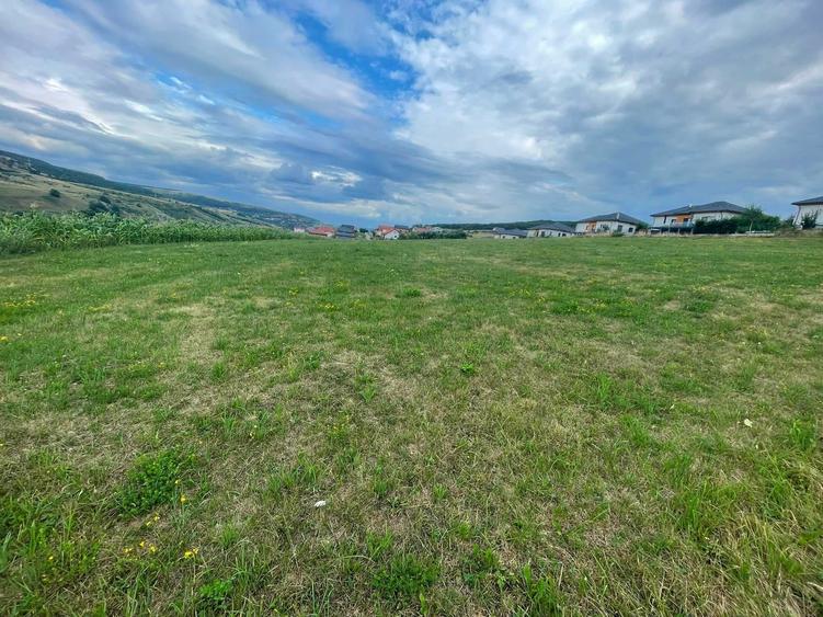Teren de 5800 mp, în Corușu