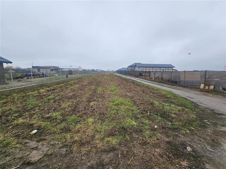 Teren Construcții intravilan de 939 mp, în Dărăști-Ilfov