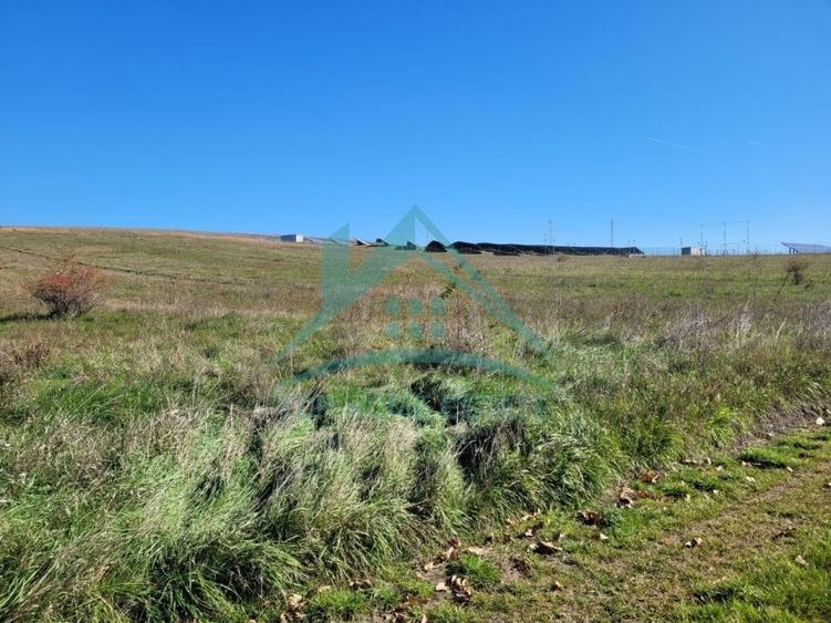 Teren agricol extravilan de 11550 mp, în Mărtinești