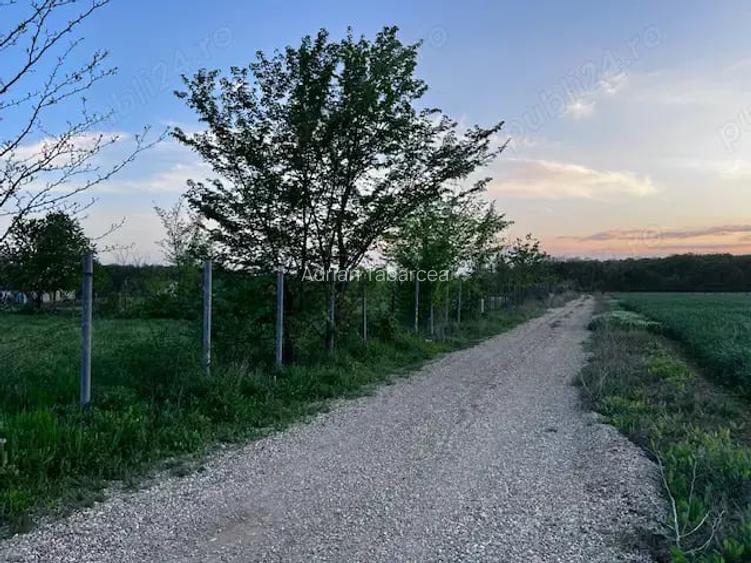 Terenuri de vanzare Ciolpani,sat Piscu,zona linistita,fara tranzit,aproape de padurea Scrovistea.