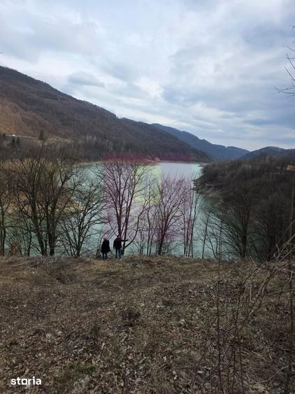 Teren de 1653 mp, în Valea Doftanei