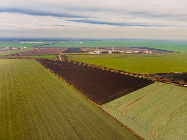 Teren agricol extravilan de 46001 mp, în Gai