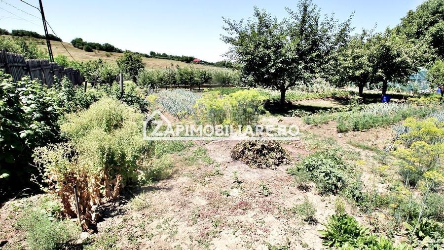 Teren intravilan 1.300 mp.zona Belvedere Targu Mures - 11