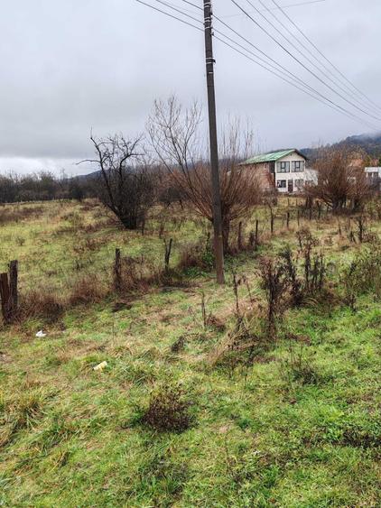 Teren de vanzare in Costesti,Valcea - 1