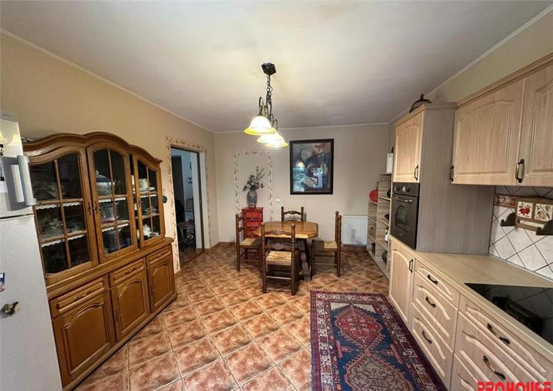 Casa deosebita in sat Podis - zona Dubas - 8