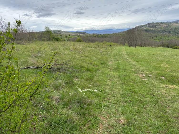 Vand teren zona Carasova! - 4