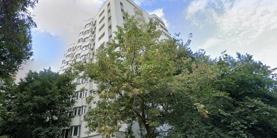 Lacul Tei x Teiul Doamnei - langa Facultatea de Constructii si Parcul Tei