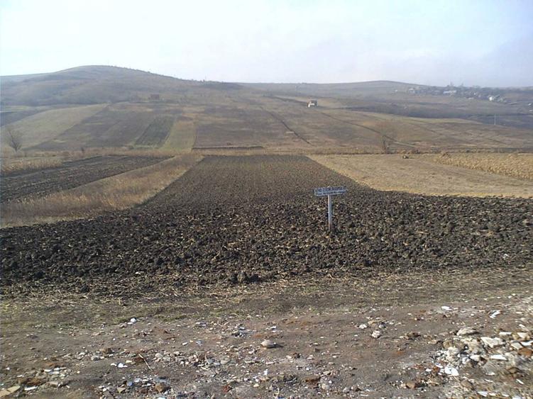 Vand teren in Colonia Sopor - Cartierul Gheorgheni - 1