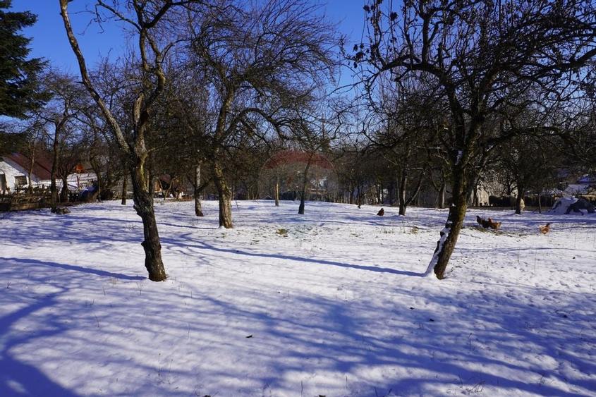 Casa de vanzare in centrul satului Desesti, Maramures - 10