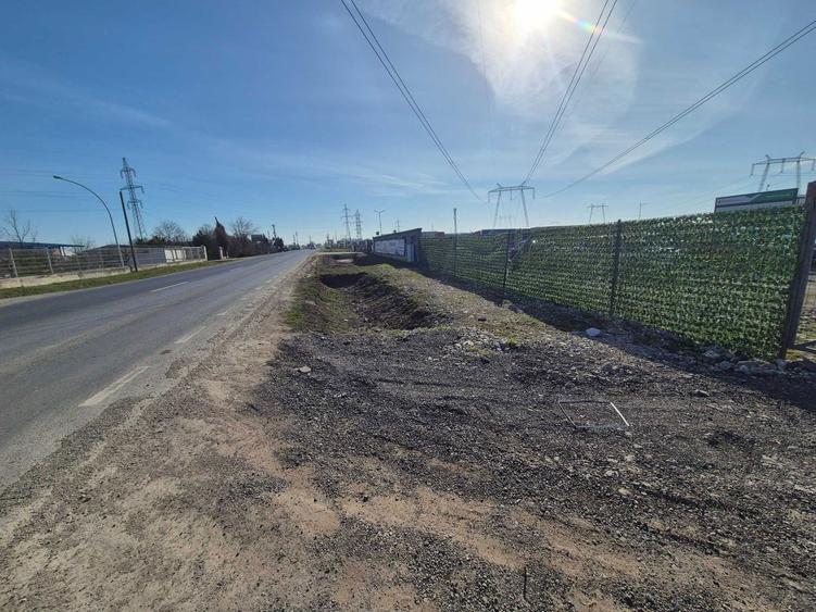 teren 5000 mp de inchiriat Ciorogarla - 1