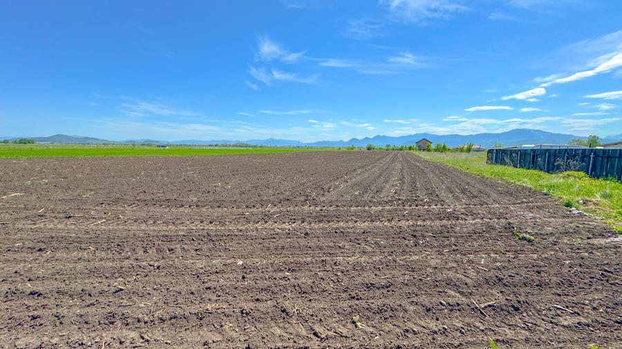 Teren intravilan, 1.7 hectare, Stupini Strada Barsei - 9