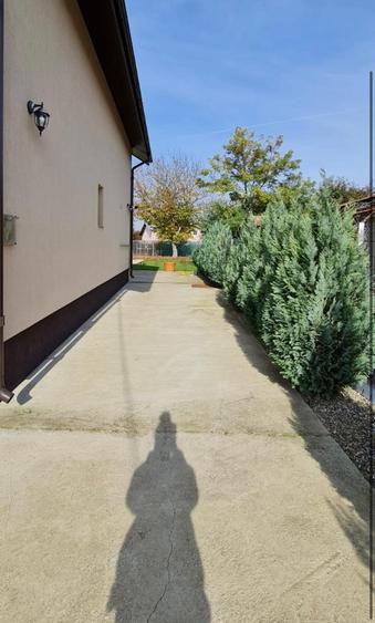 Casă de vânzare P+1/ Comuna Brazii /Sat Brazii de Jos/ Aeroport Otopeni 30 min - 29