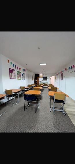 Parc Carol Vila 9 Camere - 7