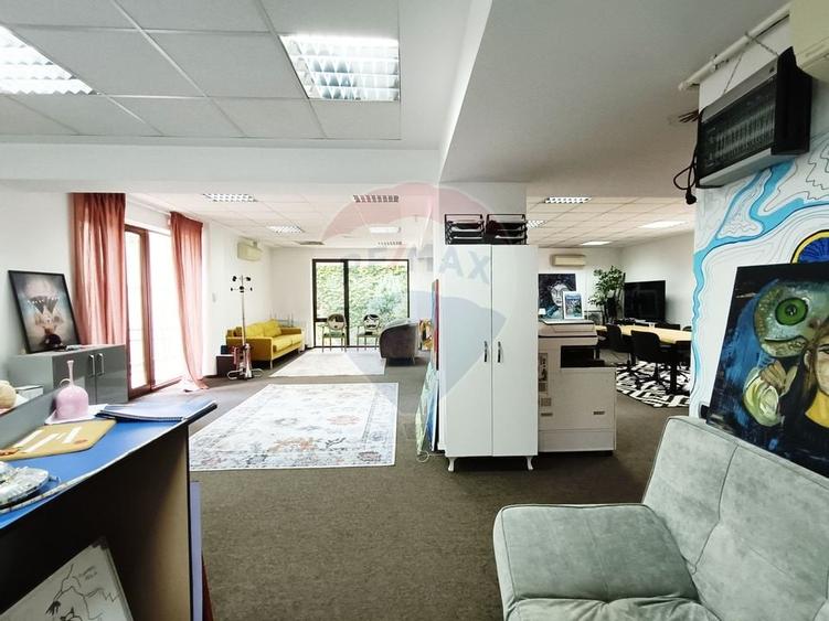 Vanzare Spatiu Comercial / Birou, Str. Popa Tatu -Cismigiu, Investitie - 4