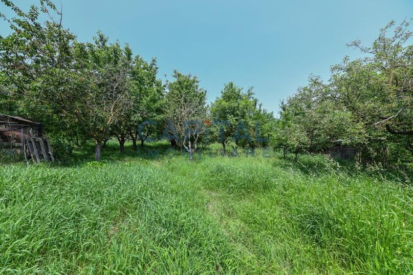 Inchiriere, Casa pe 3 niveluri+teren 3650mp, loc Comsesti, Lacurile Martinesti - 21