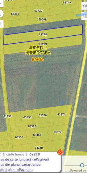 Vand teren intravilan 2150 mp - Bacia - 3