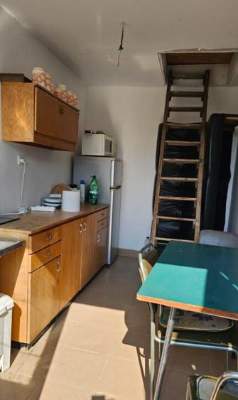 Apa, casa P+M,14 ari teren - 7